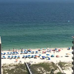 Meet your Posher, Traci